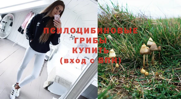 первитин Бородино