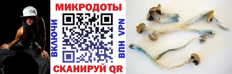 Купить закладки  Сортавала  Псилоцибиновые грибы Psilocybine cubensis 
